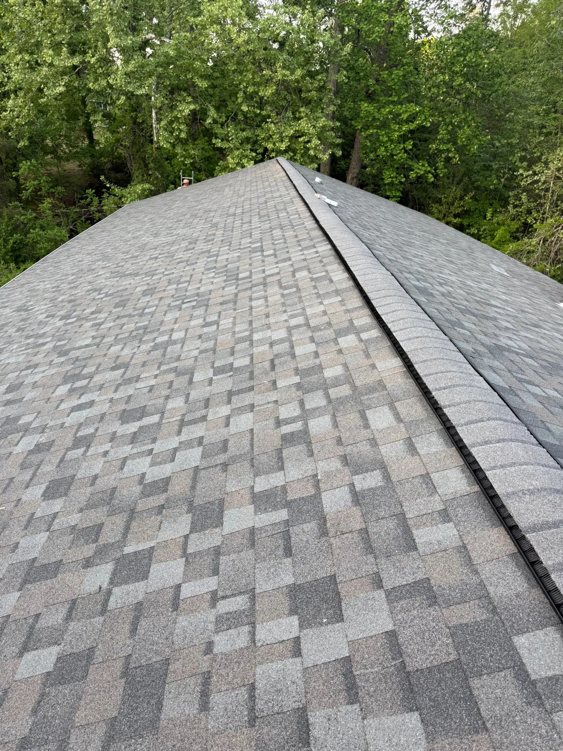 Roof with asphalt shingles in a residential property.